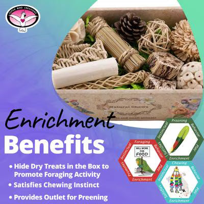 Super Bird Creations Birdie Bites Bird Toy, Small