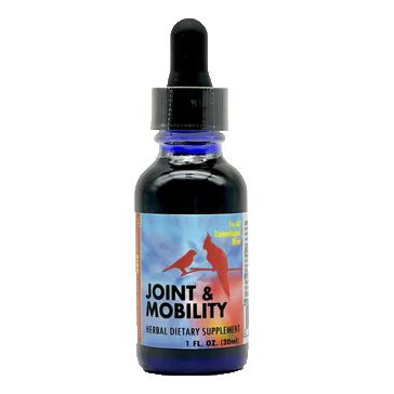 MOR 00112 JOINT AND MOBILITY (FORMERLY PAIN RELIEF)- 1 OZ