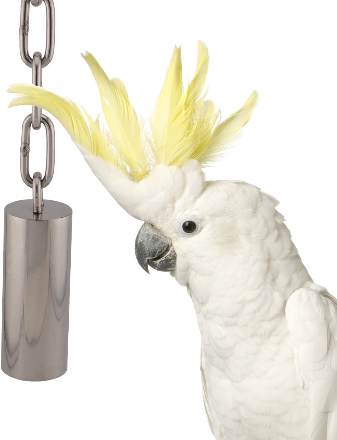 Super Bird Creations, Stainless Steel Tube Bell, Medium