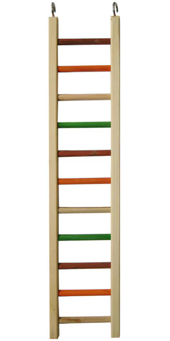 Happy Beaks x AE Cage - Wooden Hanging Ladder