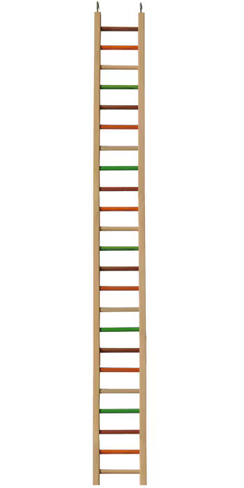Happy Beaks x AE Cage - Wooden Hanging Ladder 50"