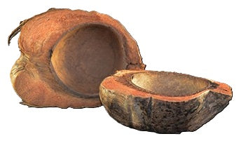 Half Husk Coconut