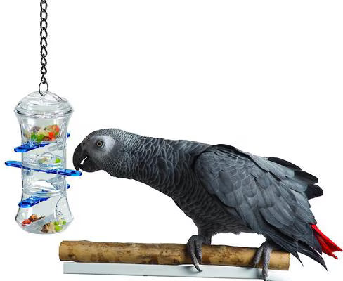 Caitec Featherland Paradise Push & Pull Bird Toy