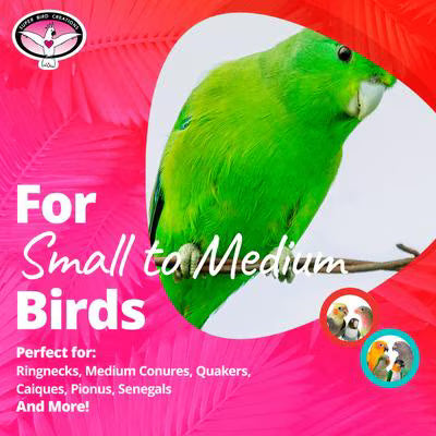 Super Bird Creations Birdie Bites Bird Toy, Small