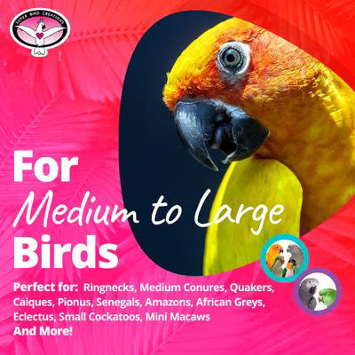Super Bird Creations Birdie Bites Deluxe Bird Toy
