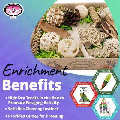 Super Bird Creations Birdie Bites Ultimate Bird Toy