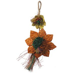 Plante Pleasures, Sunflower, Medium