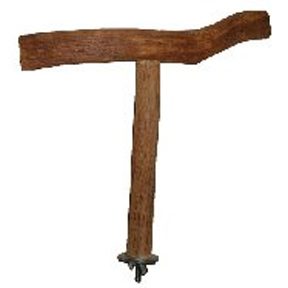 Polly's Pet Products - Dragonwood T-Perch - Large