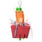 Happy Beaks x AE Cage, The Veggie Basket, SM/MD
