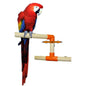 Zoo-Max - T2003W Wood Window Perch