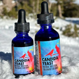 MOR 00110 CANDIDA/YEAST – 1 OZ
