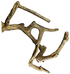 AE Cage - Medium Java Wood Multi Branch Perch