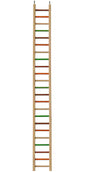 Happy Beaks x AE Cage - Wooden Hanging Ladder 50"