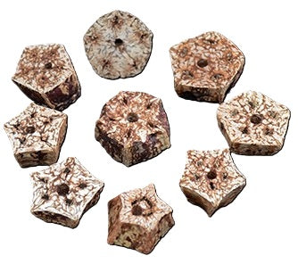 Mahogany Pod Slices - 10pk