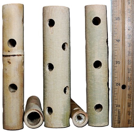 Large Bamboo Tube
