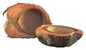 Half Husk Coconut