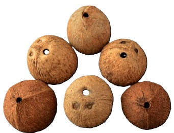 Coconut Half