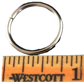 O-Ring - 19mm - 10pk
