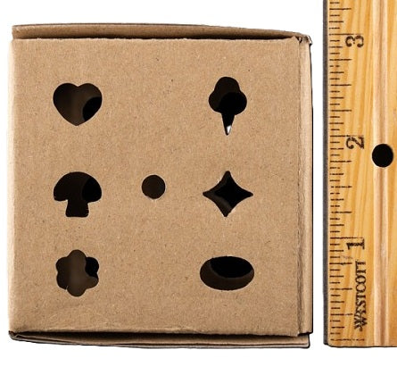 Fun Box - 3"