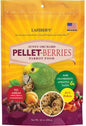 Lafeber Pellet-Berries Sunny Orchard Parrot Food, 10-oz
