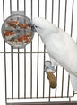 Caitec Featherland Paradise Foraging Wheel Bird Toy