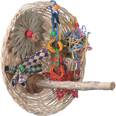 Super Bird Creations Busy Birdie Play Perch Bird Toy, Small/Medium