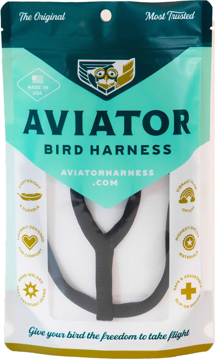 The Aviator Bird Harness & Leash, Black, XX-Large